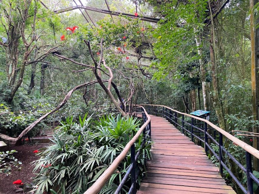 Brazilian Falls, Bird Park and Itaipu Dam - Tour Experience Highlights