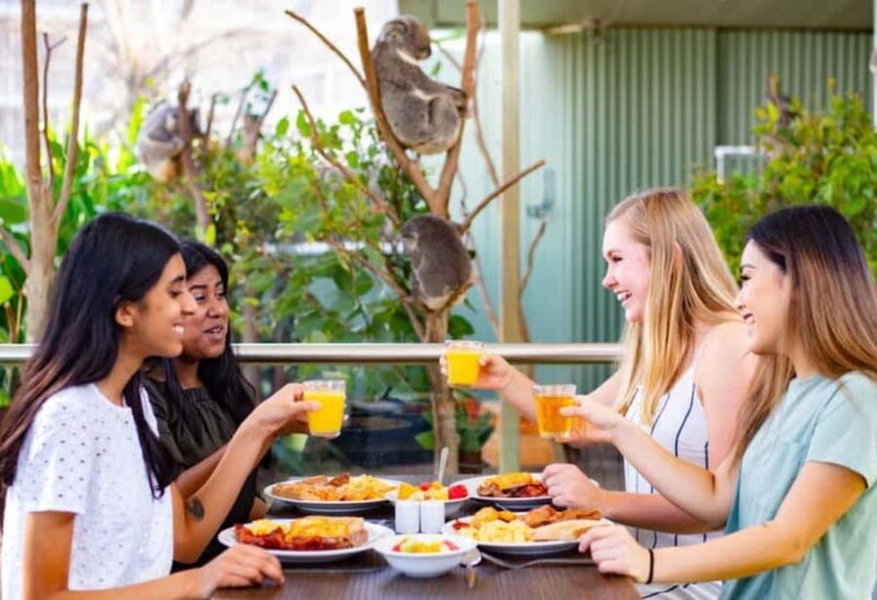 Breakfast with Koalas at WILD LIFE Zoo Darling Harbour - An Authentic Australian Wildlife Experience in the Heart of Darling Harbour