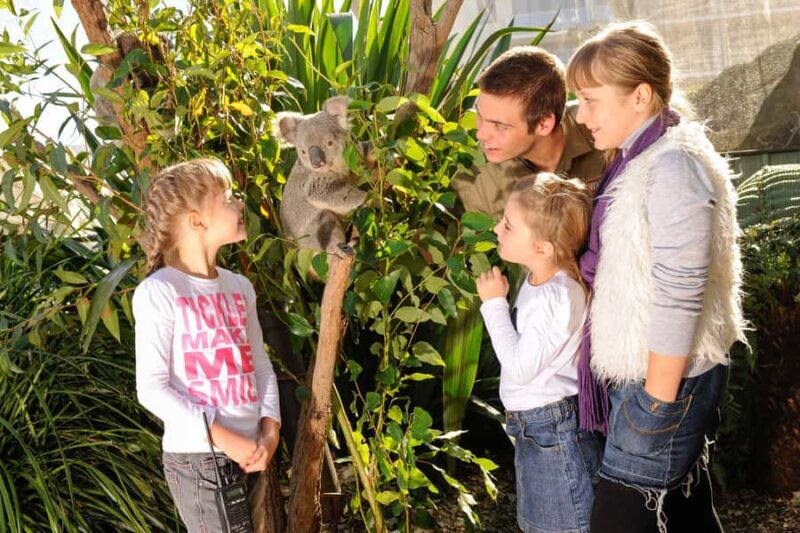 Breakfast with Koalas at WILD LIFE Zoo Darling Harbour - FAQ