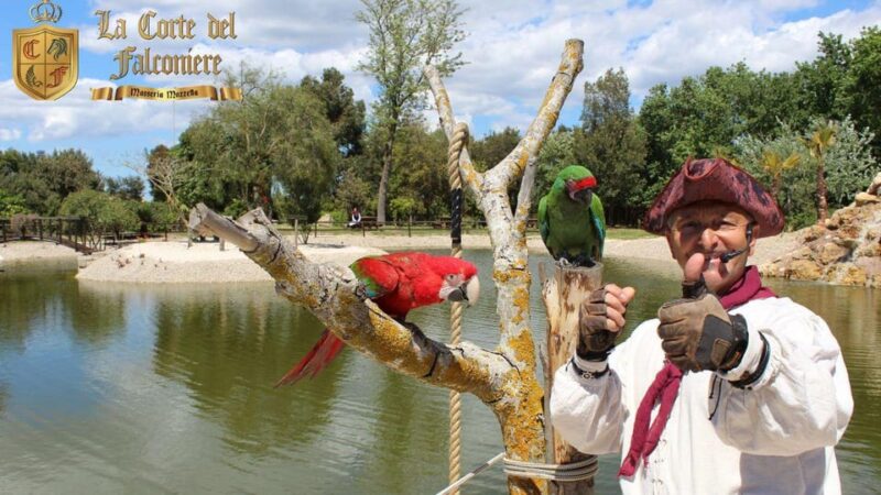 Breakfast With Parrots at Masseria Mazzetta With Wildlife Park - Activity Details