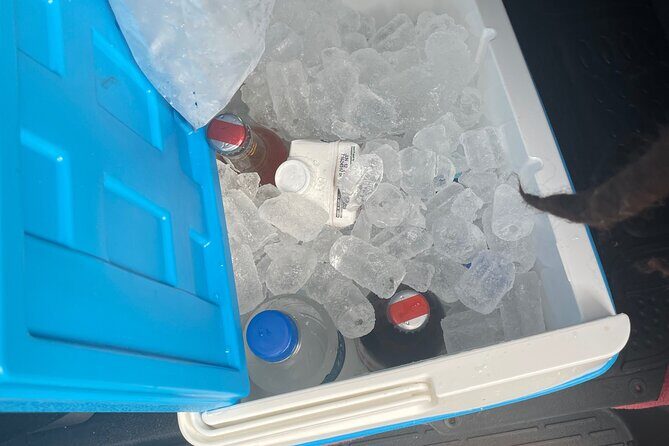 Breathless and secrets hotels private airport transfer services - The Journey: What to Expect