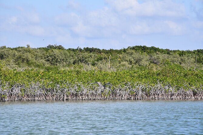 Breathtaking Sunset at Sian Ka'an - Final Thoughts: Is It Worth It?