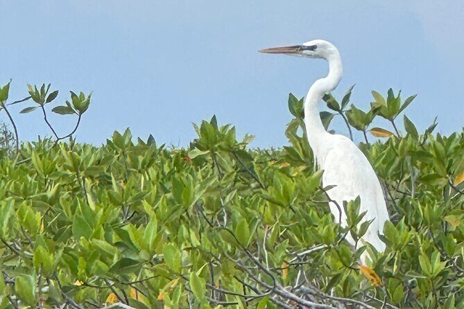 Breathtaking Sunset at Sian Ka'an - FAQ