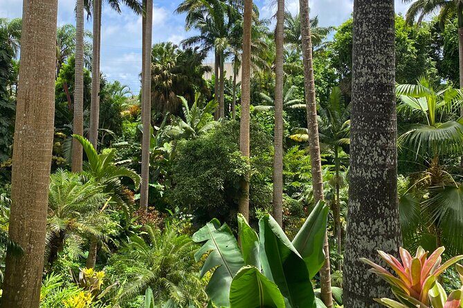 Breathtaking Wonders - Harrisons Cave and Hunte's Gardens - The Itinerary in Detail