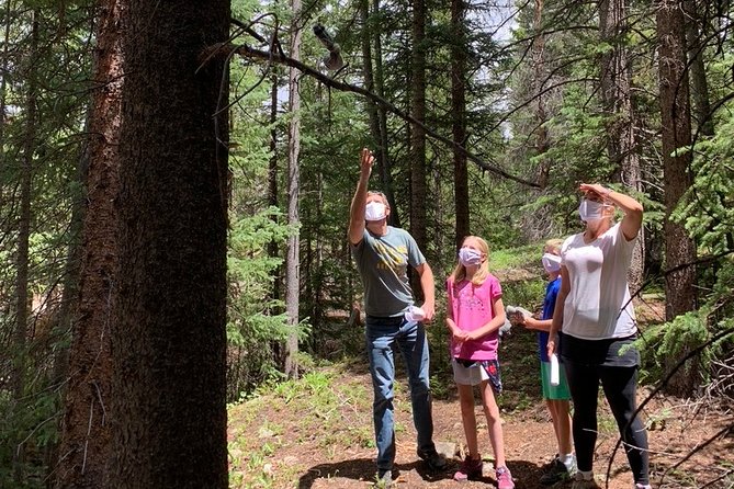 Breckenridge Gold Mine Outdoor Escape Room - Pricing and Booking Options