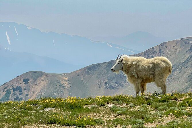 Breckenridge via Hoosier Pass Private Colorado Adventure Tour - An In-Depth Look at the Tour Itinerary