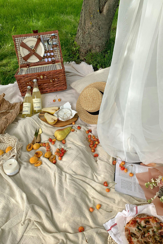 Bregenz: Motorboat & Picknick Tour - Youll Love - Whats Included in Your Package