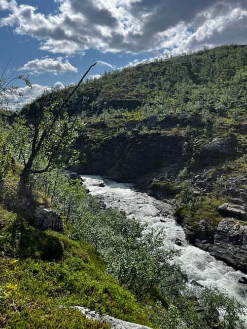 BRENNFJELL: Brennfjellet Hiking Adventure - The Experience of Brennfjell: An In-Depth Look  