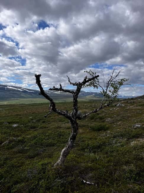 BRENNFJELL: Brennfjellet Hiking Adventure - Price and Value  