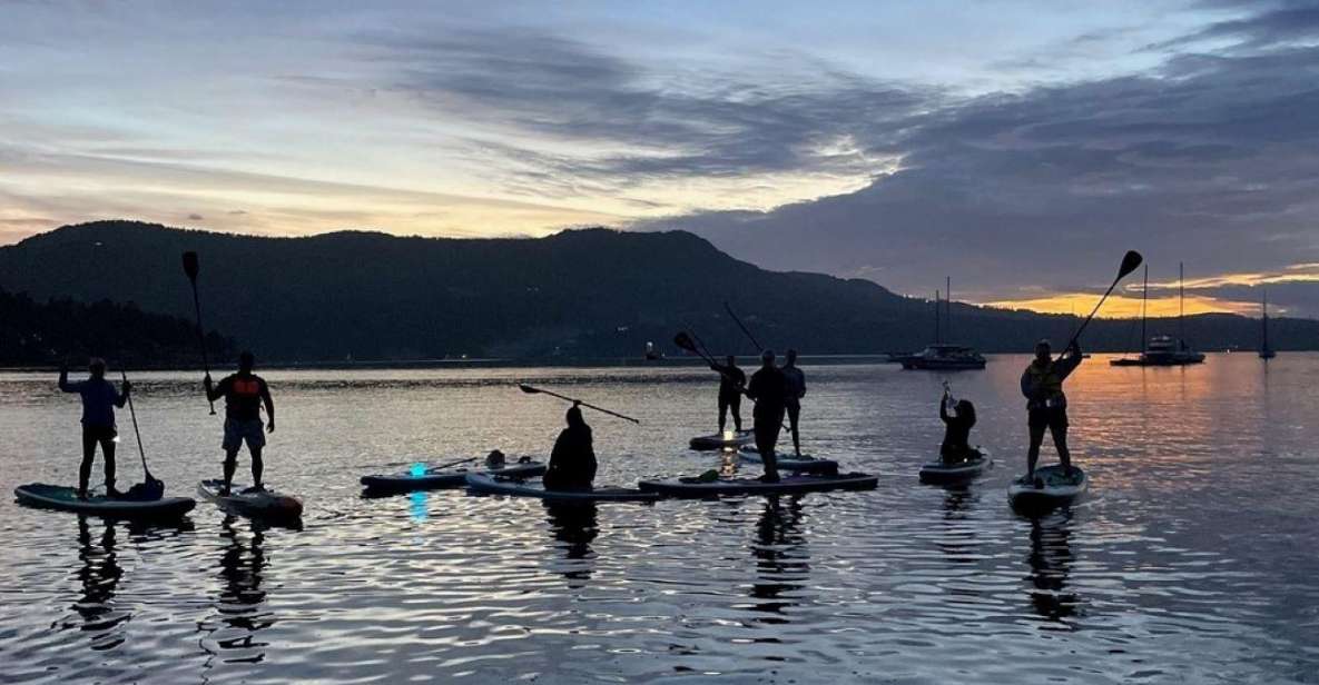 Brentwood Bay: Stand-up Paddleboard Bioluminescence Tour - Inclusions