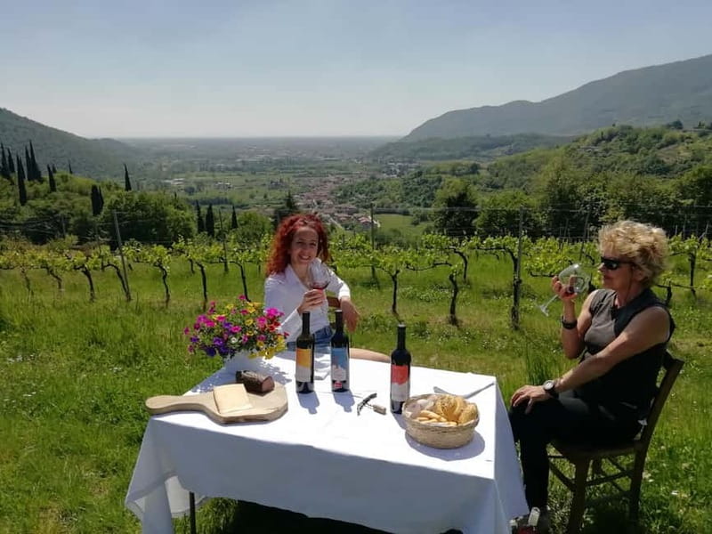 Brescia: Day trip to Botticino, new historical winetasting - Introduction