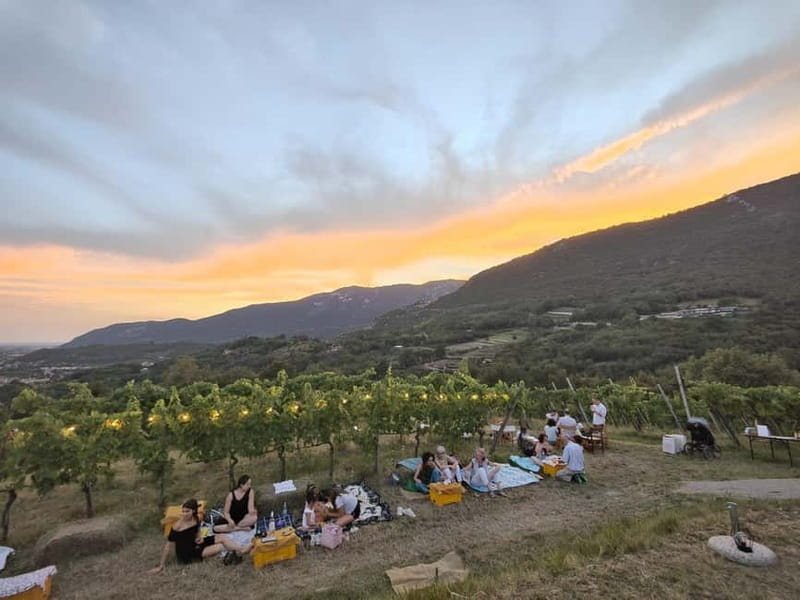 Brescia: Day trip to Botticino, new historical winetasting - The Itinerary and What to Expect