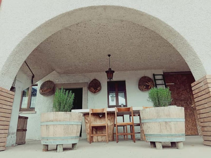 Brescia: Day trip to Botticino, new historical winetasting - The Wines and Tasting Experience