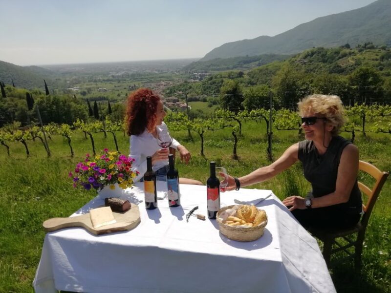Brescia: Day Trip to Botticino With Wine Tasting at Noventa - Key Points