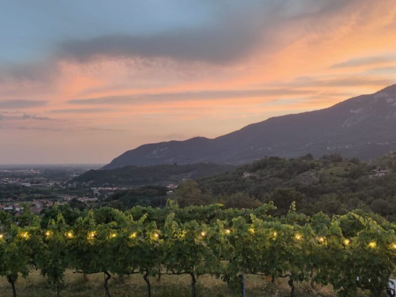 Brescia: Day Trip to Botticino With Wine Tasting at Noventa - Tasting the Botticino DOC Wines