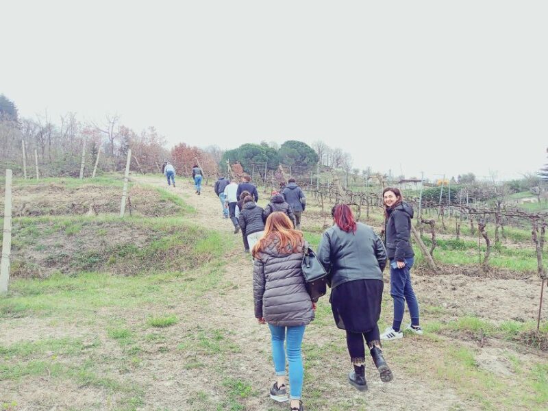 Brescia: Day Trip to Botticino With Wine Tasting at Noventa - Meeting the Winemaking Family