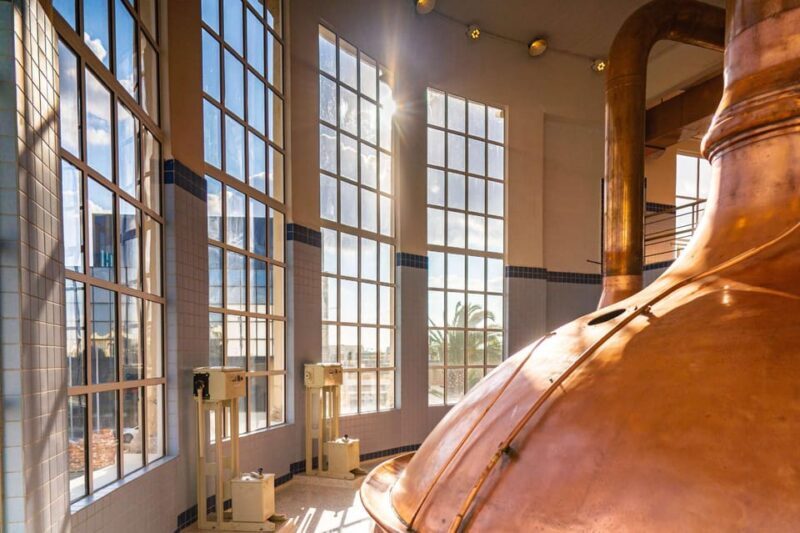 Brewery Experience with Beer Tasting and Optional Transport - A Deep Dive into the Malta Brewery Experience
