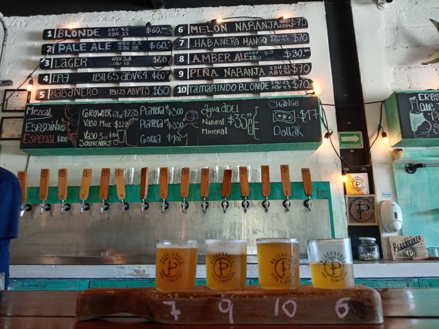 Brewery Tour / Craft Beer Tasting Cancun Mexico - Craft Beer Exploration