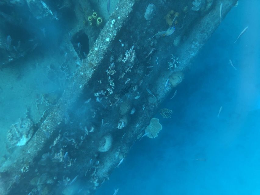 Bridgetown: Carlisle Bay Clear Kayak Shipwreck Tour - Inclusions and Exclusions