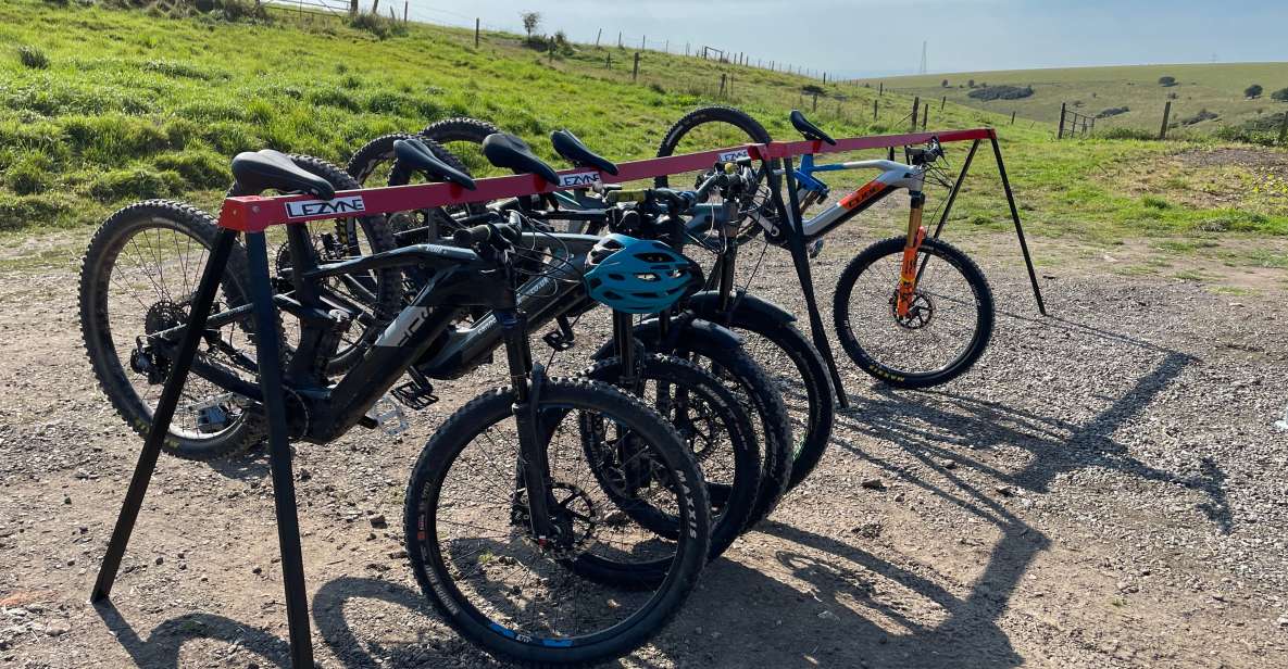 Brighton: Electric Mountain Bike Rental - Customer Experiences and Ratings
