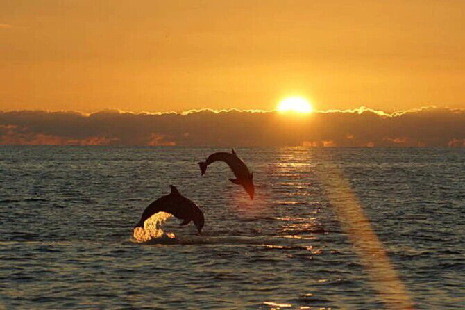 Brijuni Dolphin and Sunset Boat Tour from Pula - Practical Tips for Your Trip
