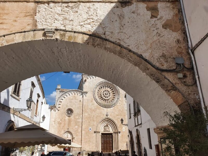 Brindisi: Alberobello, Locorotondo & Ostuni Tour with Brunch - Who will love this tour?