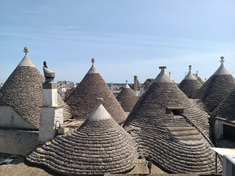 Brindisi: Alberobello, Ostuni Tour for Cruise ship - Practicalities and What to Expect