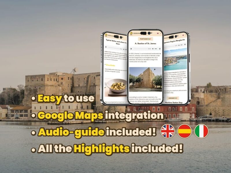Brindisi: Digital Guide Made With a Local for Your Tour - Accessibility and Requirements
