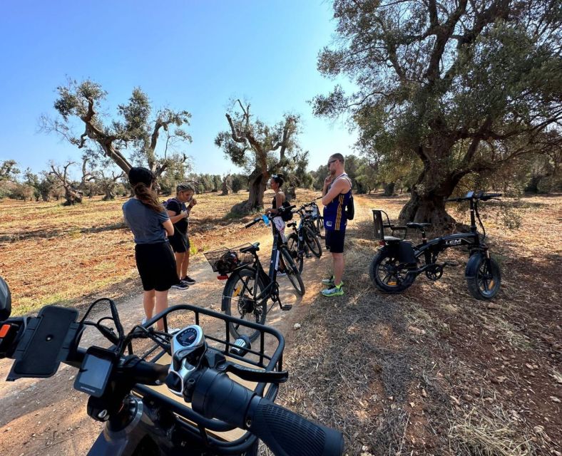 Brindisi: E-Bike Trip to Torre Guaceto Nature Reserve - Key Points