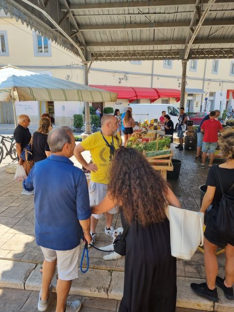 Brindisi Guided Tour, Roman Appia Way and Ancient Churches - Detailed Itinerary