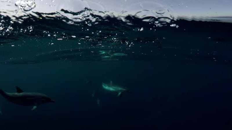 Brindisi: Kayaking at Sant'Andrea Island - The Practicalities