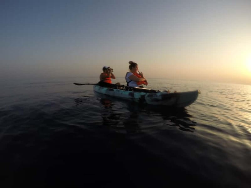 Brindisi: Kayaking at Sant'Andrea Island - What Travelers Are Saying