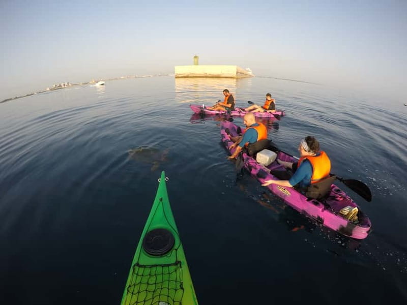 Brindisi: Kayaking at Sant'Andrea Island - Who Should Consider This Tour?
