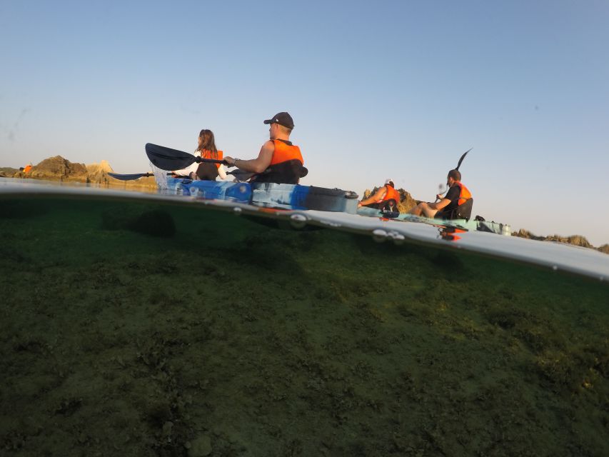 Brindisi: Kayaking at SantAndrea Island & Turtle Watching - Participating in Biosurveillance Activities