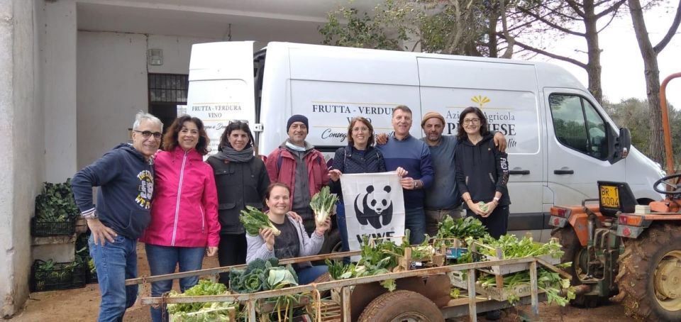 Brindisi: Super Apulian Dinner at the Greengrocers - Culinary Highlights