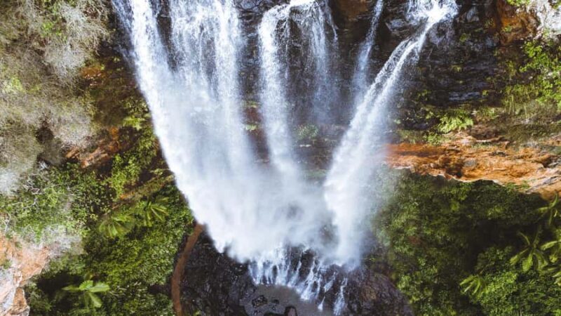 Brisbane: 6 Waterfalls, Koalas & Natural Bridge Day Tour - Who Should Take This Tour?