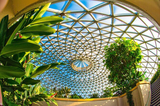 Brisbane Bus Tour: Max 10 people | Half Day | Morning tea inc. - A Detailed Look at the Itinerary