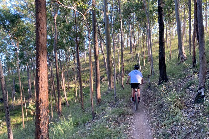 Brisbane Electric Mountain Bike Experience Tour - FAQ