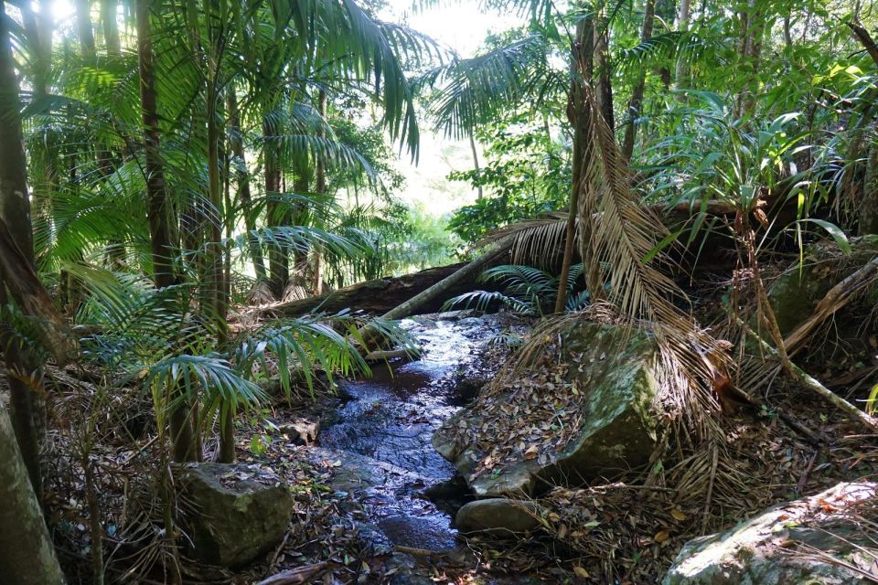 Brisbane: Hop on Hop off Bus to Tamborine Mountain - Experience Highlights