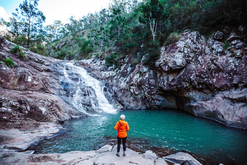Brisbane: Hop on Hop off Bus to Tamborine Mountain - Customer Reviews