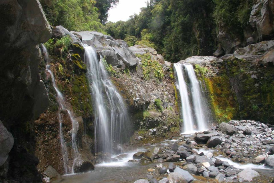 Brisbane: Hop on Hop off Bus to Tamborine Mountain - Customer Testimonial