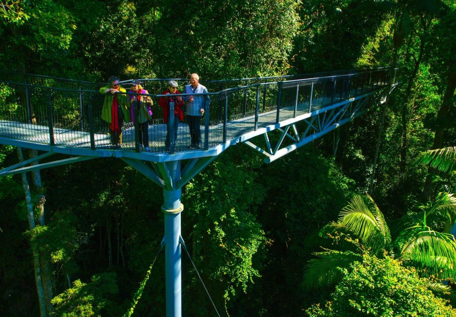 Brisbane: Hop on Hop off Bus to Tamborine Mountain - Additional Information