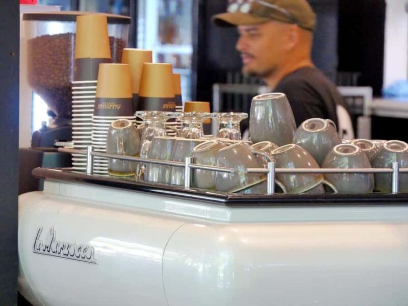 Brisbane: Island Pub Crawl with Lunch and High-Speed Boat - Final Thoughts: Who Will Love This Tour?