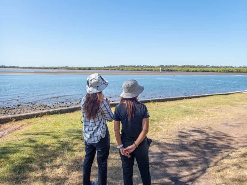 Brisbane: Kangaroos, Birds and Mangroves Coastal Tour - Who Should Consider This Tour?