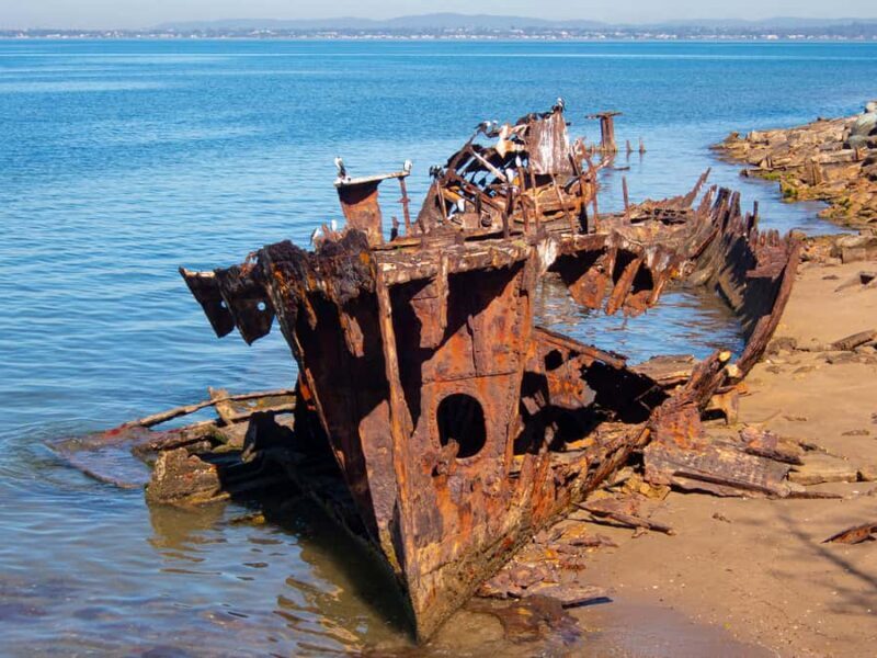 Brisbane: Kangaroos, Birds and Mangroves Coastal Tour - FAQ