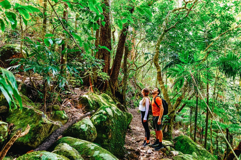 Brisbane: OReillys Tree Top Walk - Frequently Asked Questions