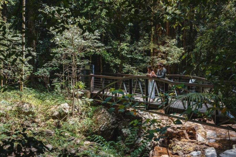 Brisbane: Rainforests, Waterfalls and Glow Worm Cave Tour - Authentic Experiences Highlighted by Reviews