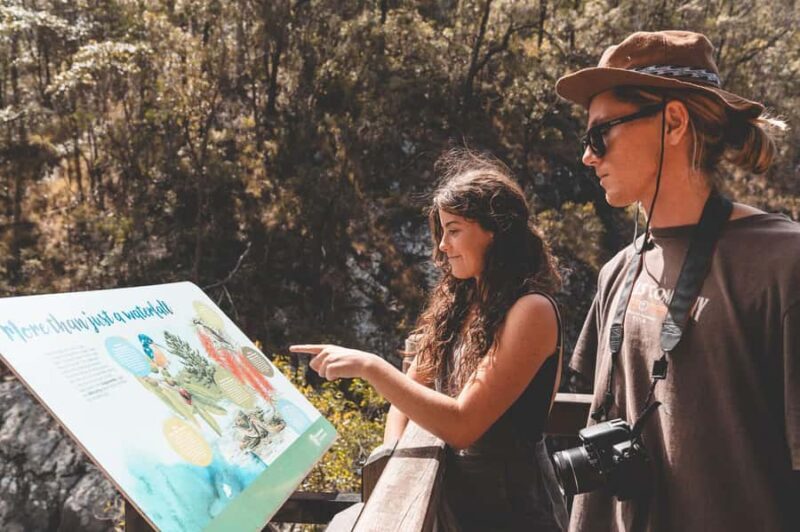 Brisbane: Rainforests, Waterfalls and Glow Worm Cave Tour - FAQ