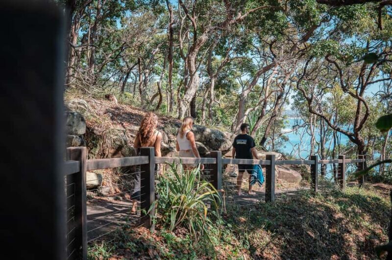 Brisbane: Sunshine Coast Hinterland & Noosa Scenic Tour - Who Will Love This Tour?