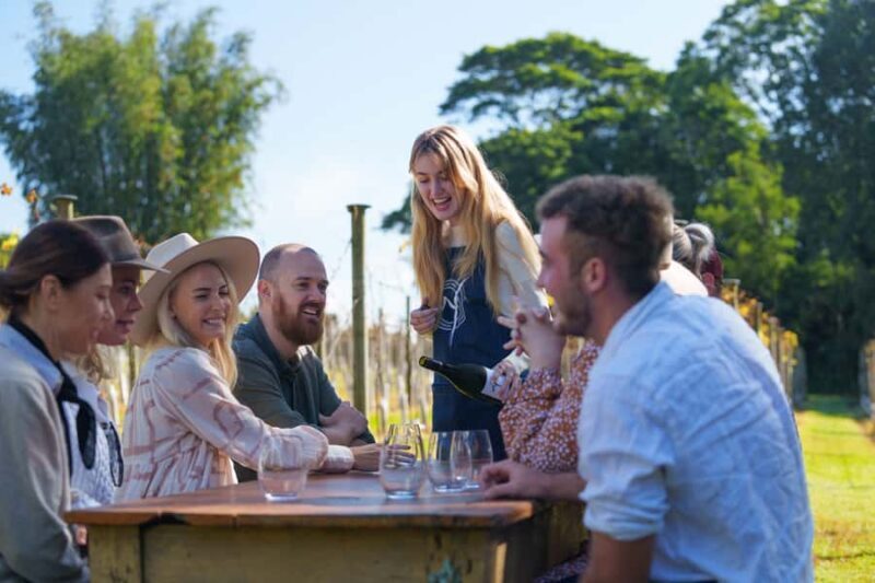 Brisbane: Tamborine Wine & Distillery Tour + 2 Course Lunch - Key Points